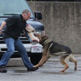 K-9 Brutus Bite